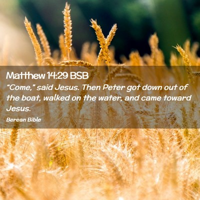 Picture 02 - Matthew 14:29 BSB - “Come,” said Jesus. Then Peter got down out - Bible Verse Picture