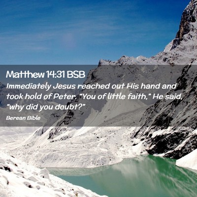 Picture 02 - Matthew 14:31 BSB - Immediately Jesus reached out His hand and took - Bible Verse Picture