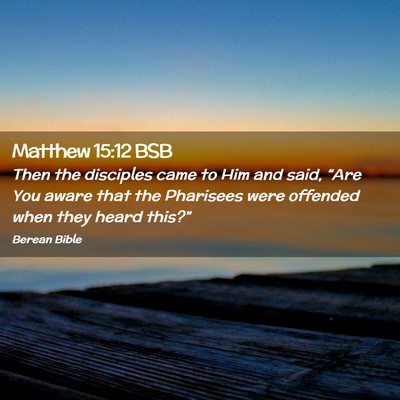 Picture 02 - Matthew 15:12 BSB - Then the disciples came to Him and said, “Are - Bible Verse Picture
