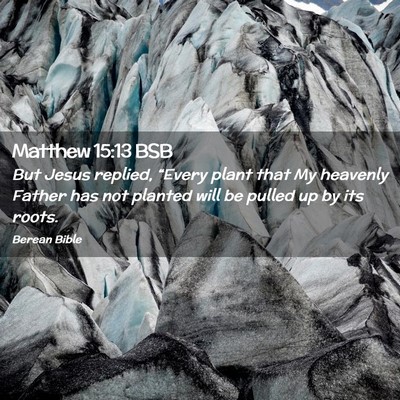 Picture 02 - Matthew 15:13 BSB - But Jesus replied, “Every plant that My - Bible Verse Picture