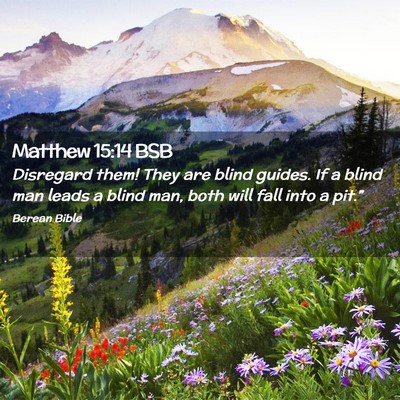 Picture 02 - Matthew 15:14 BSB - Disregard them! They are blind guides. If a blind - Bible Verse Picture