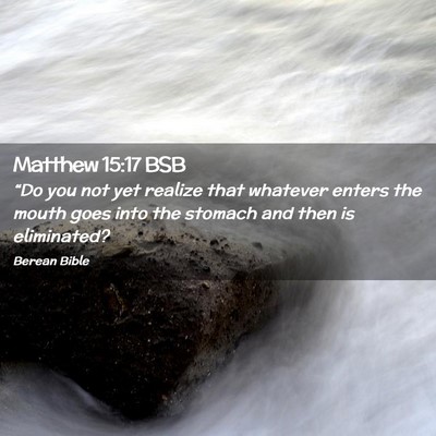 Picture 02 - Matthew 15:17 BSB - “Do you not yet realize that whatever enters - Bible Verse Picture