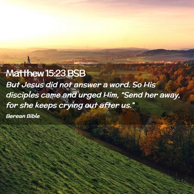 Picture 02 - Matthew 15:23 BSB - But Jesus did not answer a word. So His disciples - Bible Verse Picture