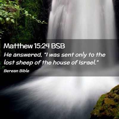 Picture 02 - Matthew 15:24 BSB - He answered, “I was sent only to the lost sheep - Bible Verse Picture
