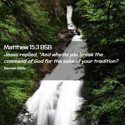Picture 02 - Matthew 15:3 BSB - Jesus replied, “And why do you break the - Bible Verse Picture