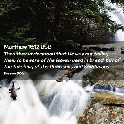 Picture 02 - Matthew 16:12 BSB - Then they understood that He was not telling them - Bible Verse Picture