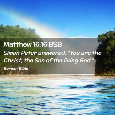 Picture 02 - Matthew 16:16 BSB - Simon Peter answered, “You are the Christ, the - Bible Verse Picture