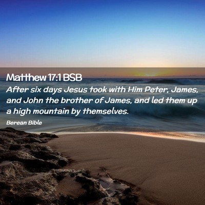 Picture 02 - Matthew 17:1 BSB - After six days Jesus took with Him Peter, James, - Bible Verse Picture