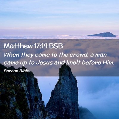 Picture 02 - Matthew 17:14 BSB - When they came to the crowd, a man came up to - Bible Verse Picture