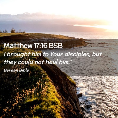 Picture 02 - Matthew 17:16 BSB - I brought him to Your disciples, but they could - Bible Verse Picture