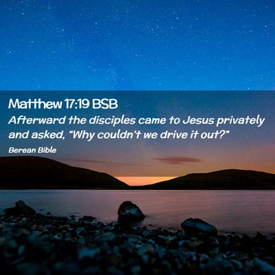 Picture 02 - Matthew 17:19 BSB - Afterward the disciples came to Jesus privately - Bible Verse Picture