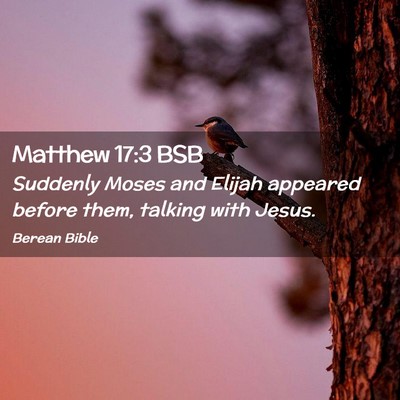 Picture 02 - Matthew 17:3 BSB - Suddenly Moses and Elijah appeared before them, - Bible Verse Picture
