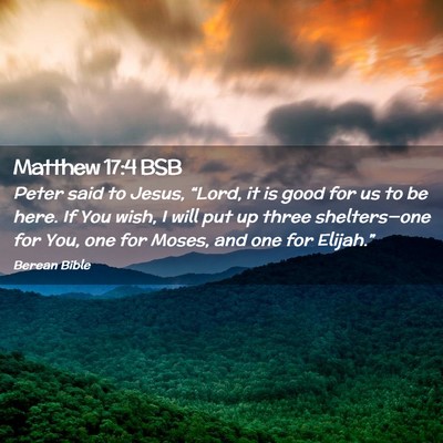 Picture 02 - Matthew 17:4 BSB - Peter said to Jesus, “Lord, it is good for us - Bible Verse Picture
