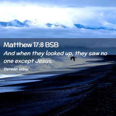 Picture 02 - Matthew 17:8 BSB - And when they looked up, they saw no one except - Bible Verse Picture