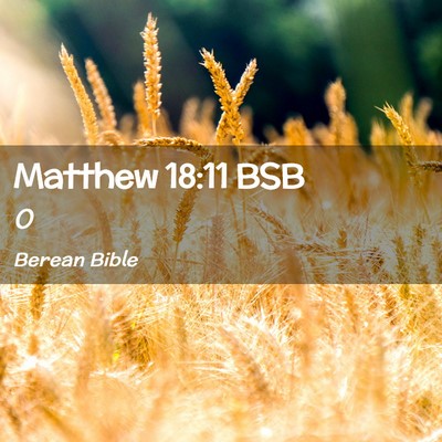 Picture 02 - Matthew 18:11 BSB -  - Bible Verse Picture