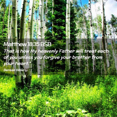 Picture 02 - Matthew 18:35 BSB - That is how My heavenly Father will treat each of - Bible Verse Picture