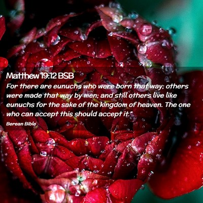 Picture 02 - Matthew 19:12 BSB - For there are eunuchs who were born that way; - Bible Verse Picture