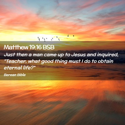 Picture 02 - Matthew 19:16 BSB - Just then a man came up to Jesus and inquired, - Bible Verse Picture