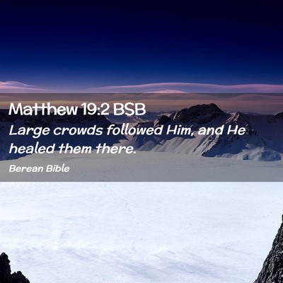 Picture 02 - Matthew 19:2 BSB - Large crowds followed Him, and He healed them - Bible Verse Picture