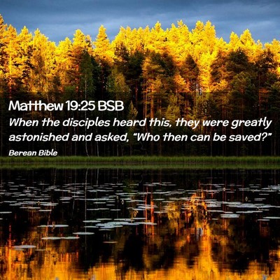 Picture 02 - Matthew 19:25 BSB - When the disciples heard this, they were greatly - Bible Verse Picture