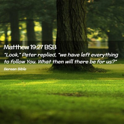 Picture 02 - Matthew 19:27 BSB - “Look,” Peter replied, “we have left - Bible Verse Picture
