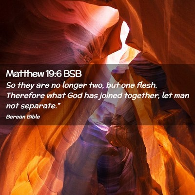 Picture 02 - Matthew 19:6 BSB - So they are no longer two, but one flesh. - Bible Verse Picture