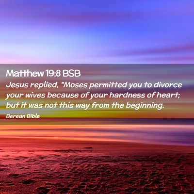Picture 02 - Matthew 19:8 BSB - Jesus replied, “Moses permitted you to divorce - Bible Verse Picture