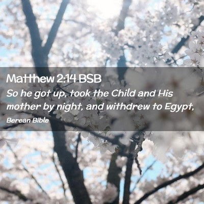Picture 02 - Matthew 2:14 BSB - So he got up, took the Child and His mother by - Bible Verse Picture