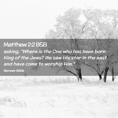 Picture 02 - Matthew 2:2 BSB - asking, “Where is the One who has been born - Bible Verse Picture