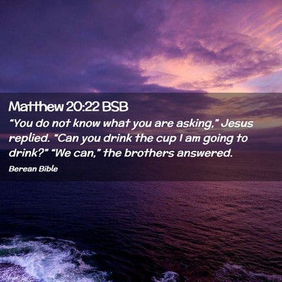 Picture 02 - Matthew 20:22 BSB - “You do not know what you are asking,” Jesus - Bible Verse Picture