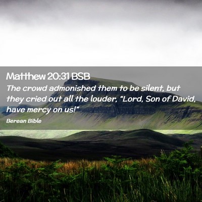Picture 02 - Matthew 20:31 BSB - The crowd admonished them to be silent, but they - Bible Verse Picture