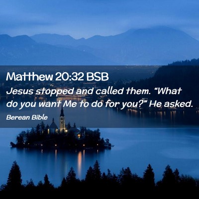 Picture 02 - Matthew 20:32 BSB - Jesus stopped and called them. “What do you - Bible Verse Picture