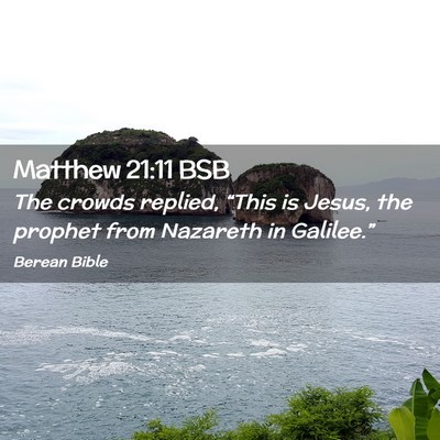Picture 02 - Matthew 21:11 BSB - The crowds replied, “This is Jesus, the prophet - Bible Verse Picture