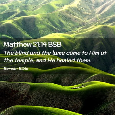 Picture 02 - Matthew 21:14 BSB - The blind and the lame came to Him at the temple, - Bible Verse Picture
