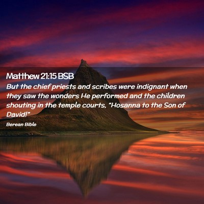 Picture 02 - Matthew 21:15 BSB - But the chief priests and scribes were indignant - Bible Verse Picture
