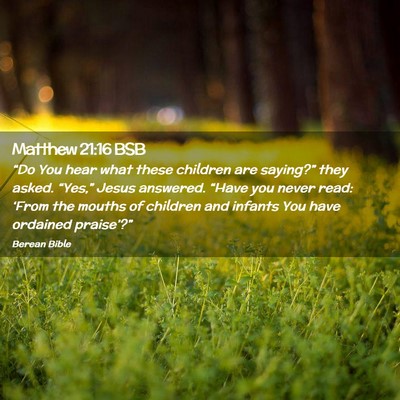 Picture 02 - Matthew 21:16 BSB - “Do You hear what these children are saying?” - Bible Verse Picture