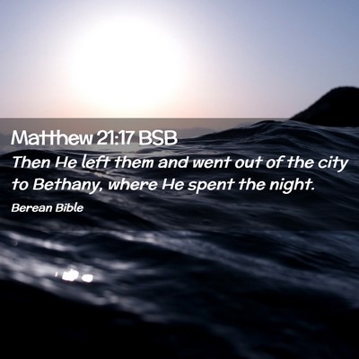 Picture 02 - Matthew 21:17 BSB - Then He left them and went out of the city to - Bible Verse Picture