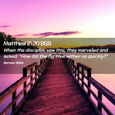 Picture 02 - Matthew 21:20 BSB - When the disciples saw this, they marveled and - Bible Verse Picture