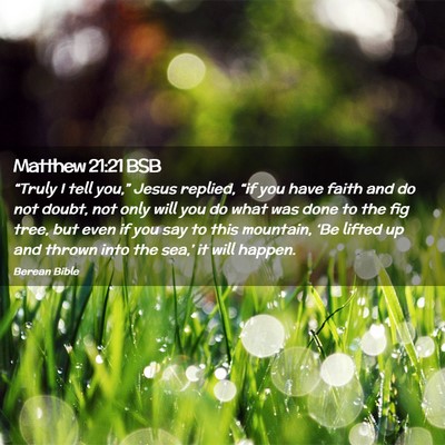 Picture 02 - Matthew 21:21 BSB - “Truly I tell you,” Jesus replied, “if you - Bible Verse Picture