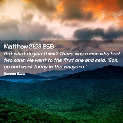 Picture 02 - Matthew 21:28 BSB - But what do you think? There was a man who had - Bible Verse Picture