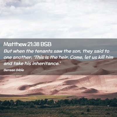 Picture 02 - Matthew 21:38 BSB - But when the tenants saw the son, they said to - Bible Verse Picture
