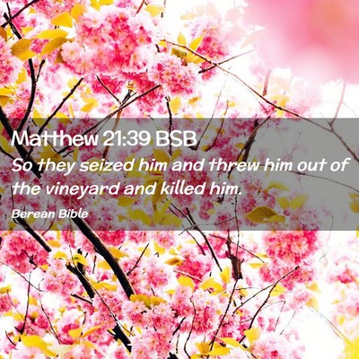 Picture 02 - Matthew 21:39 BSB - So they seized him and threw him out of the - Bible Verse Picture