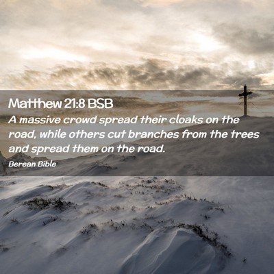Picture 02 - Matthew 21:8 BSB - A massive crowd spread their cloaks on the road, - Bible Verse Picture