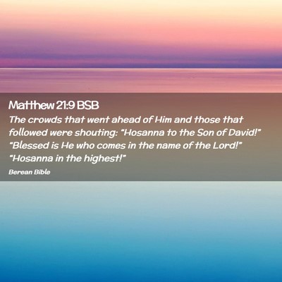Picture 02 - Matthew 21:9 BSB - The crowds that went ahead of Him and those that - Bible Verse Picture