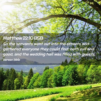 Picture 02 - Matthew 22:10 BSB - So the servants went out into the streets and - Bible Verse Picture