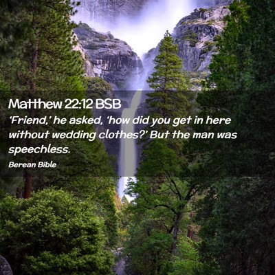 Picture 02 - Matthew 22:12 BSB - ‘Friend,’ he asked, ‘how did you get in - Bible Verse Picture