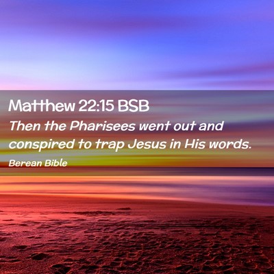 Picture 02 - Matthew 22:15 BSB - Then the Pharisees went out and conspired to trap - Bible Verse Picture