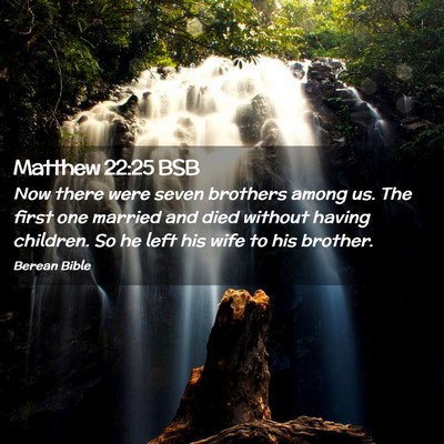 Picture 02 - Matthew 22:25 BSB - Now there were seven brothers among us. The first - Bible Verse Picture