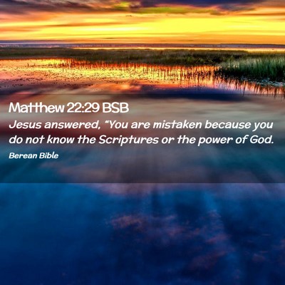 Picture 02 - Matthew 22:29 BSB - Jesus answered, “You are mistaken because you - Bible Verse Picture