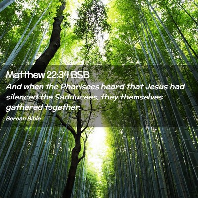 Picture 02 - Matthew 22:34 BSB - And when the Pharisees heard that Jesus had - Bible Verse Picture